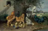Max senior Haenger, Ptactwo na podwórku, ok. 1910, olej, płótno