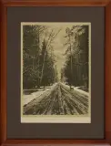 Antoni Kamieński, Droga z Bielska do Białowieży, litografia barwna, papier