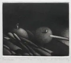 Anna Sobol-Wejman, Bodźce i hamulce, 1977, mezzotinta