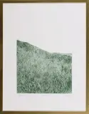 Tadeusz Michał Siara, Wysokie trawy, 1976, akwaforta, papier