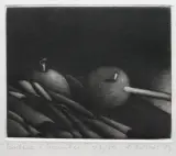 Anna Sobol-Wejman, Bodźce i hamulce, 1977, mezzotinta