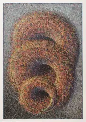 Marek Chomczyk, Organizm 2, 2006, pastel, karton