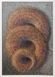 Marek Chomczyk, Organizm 2, 2006, pastel, karton