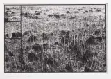 Aleksandra Mańczak, Ołtarze dla XXI wieku, ok. 1987, fotografia