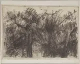 Ryszard Łagodziec, Rośliny wiosną, w ogródku, 1985, grafit, guma, rylec, pap. krem. nakl. na papier