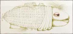TYTUS by Barbara Gawdzik-Brzozowska, 1987, tusze barwne, papier krem. żeberk., sold Jun 2006