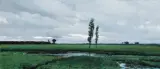 Józef Rapacki, PRZED DESZCZEM