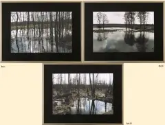Marcin Zieliński, Tryptyk - Roztopy, 2006, komplet trzech fotografii barwnych