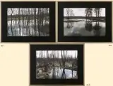 Marcin Zieliński, Tryptyk - Roztopy, 2006, komplet trzech fotografii barwnych