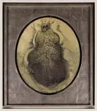 Jan Lebensztejn, Sauterelle