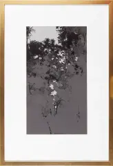Józef Flieger, Drzewo, 1982, tusz pióro, pędzel, gwasz, papier