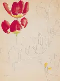 Zygmunt Menkes, TULIPANY