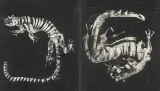 Tygrys (ilustracja) by Roman Opałka, ok. 1965, gwasz, papier, sold Nov 2005