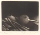 Anna Sobol-Wejman, Bodźce i hamulce, 1977, mezzotinta
