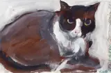 Autor nierozpoznany, Kot Faraon