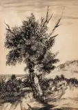 Jerzy Tchorzewski, Drzewo