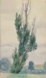 Jan Stanisławski, PEJZAŻ Z WYSOKĄ TOPOLĄ, przed 1900, akwarela, papier