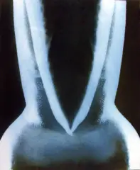 Nn Nn, Poliformia IV, 1967, fotografia barwna