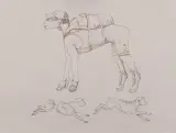 Oleg Kulik, Z cyklu Family of the Future, 1997, tusze barwne, pióro pędzel, papier