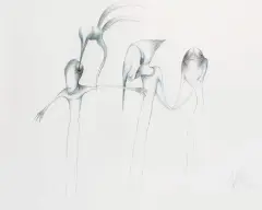 Bożena Wahl, TRZY POSTACI, 1975, tusze barwne, pióro, papier