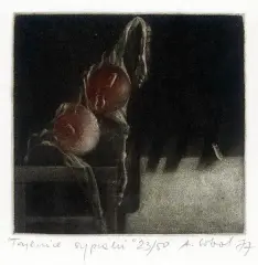 Anna Sobol-Wejman, Tajemnice sypialni, 1977, mezzotinta barwna, papier