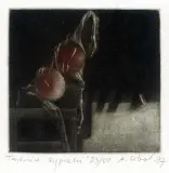 Anna Sobol-Wejman, Tajemnice sypialni, 1977, mezzotinta barwna, papier