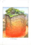 Tektonik by Jacek Yerka, 2004, kredki, ołówek, papier, sold Mar 2005