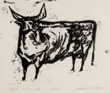 Ryszard Dudzicki, Byk, 1959, drzeworyt, papier kremowy