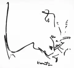 Tadeusz Kantor, Bez tytułu, ok. 1963, litografia, papier