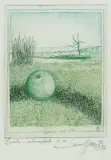Łączka by Leszek Rózga, 1977-1978, akwaforta barwna, papier, sold Dec 2004