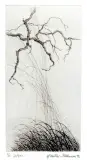 Gałęzie by Maria Okołów-Podhorska, 1992, akwaforta barwna, papier, sold Dec 2004