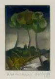 Włodzimierz Kotkowski, Naturalne sztandary, 1980, mezzotinta barwna, papier