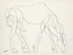 Pietro Lazzari, Koń, tusz pióro, papier kremowy