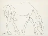 Pietro Lazzari, Koń, tusz pióro, papier kremowy