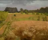 Jerzy Gnatowski, Różowe trawy