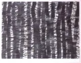 Adam Romaniuk, Nocny Las II, druk cyfrowy