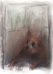 Bożena Wahl, Kot, 1991, pastel, papier