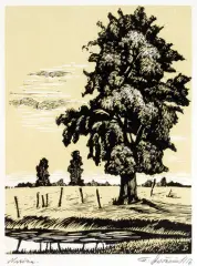 Dworzanik, Nizina, 1956, linoryt barwny