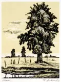 Dworzanik, Nizina, 1956, linoryt barwny