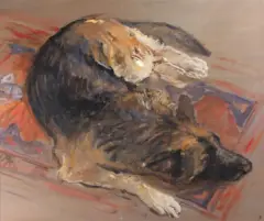 Andrzej Okińczyc, Leżący pies, tempera, papier