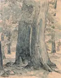 Leon Wyczółkowski, Dęby