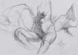 Akty by Franciszek Starowieyski, 1989, ołówek, papier, sold Feb 2004