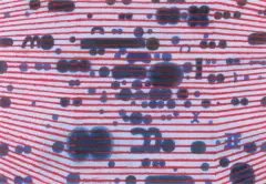 Jan Tarasin, Bez tytułu, 1998, gwasz, papier
