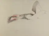 Bruno Bruni, Dla Gustava K.[Klimta] (Für Gustav K.), litografia, papier
