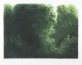 Iwo Zaniewski, Ogród w Warszawie, 1982, litografia, papier