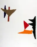 Hanna Zawa-Cywinska, Tropic, 1985, druk wypukły barwny, papier