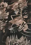 Alfred Lenica, Abstrakcja, lata 60.