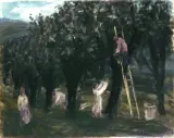 Zygmunt Menkes, Owocobranie, lata 30.