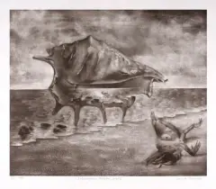 Janusz Karwacki, Fatamorgana strombus nugilis, 1977, mezzotinta