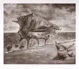 Janusz Karwacki, Fatamorgana strombus nugilis, 1977, mezzotinta